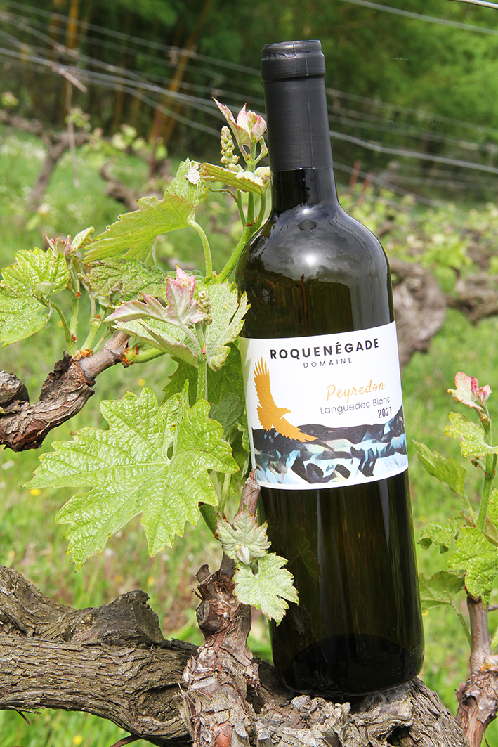 bouteille-vin-blanc-haut-de-gamme-domaine-roquenegade-occitanie